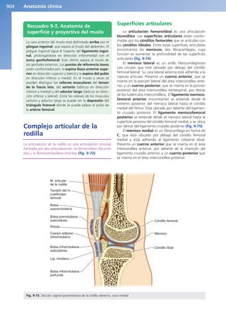 Anatomía Clínica Pró.pdf