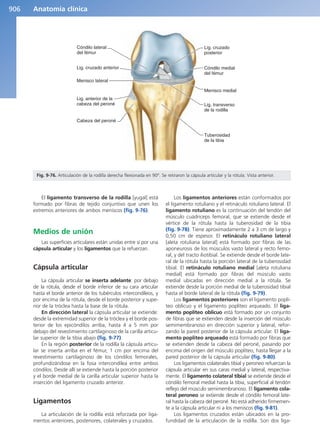 Anatomía Clínica Pró.pdf