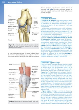 Anatomía Clínica Pró.pdf