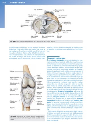 Anatomía Clínica Pró.pdf