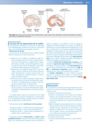 Anatomía Clínica Pró.pdf