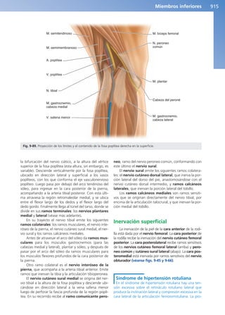 Anatomía Clínica Pró.pdf