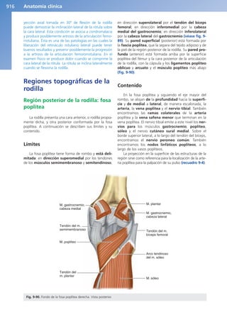 Anatomía Clínica Pró.pdf