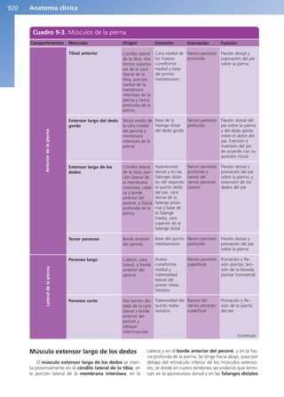 Anatomía Clínica Pró.pdf
