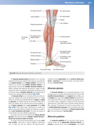 Anatomía Clínica Pró.pdf