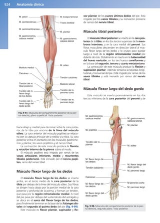 Anatomía Clínica Pró.pdf