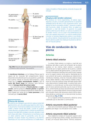 Anatomía Clínica Pró.pdf