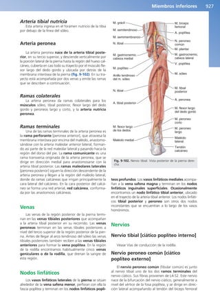 Anatomía Clínica Pró.pdf