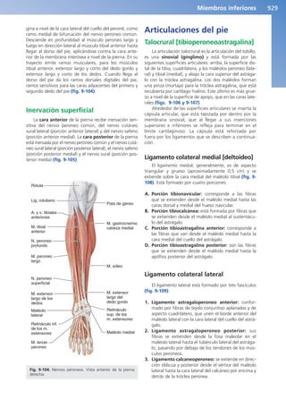 Anatomía Clínica Pró.pdf