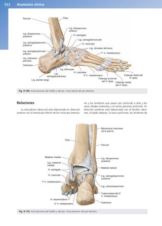 Anatomía Clínica Pró.pdf