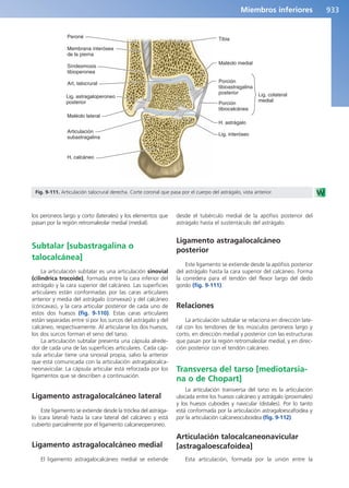 Anatomía Clínica Pró.pdf