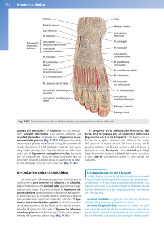 Anatomía Clínica Pró.pdf