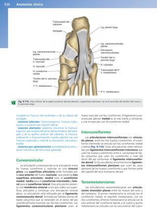 Anatomía Clínica Pró.pdf