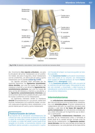 Anatomía Clínica Pró.pdf