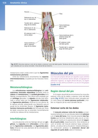 Anatomía Clínica Pró.pdf