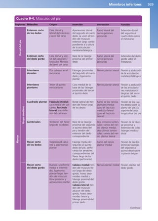 Anatomía Clínica Pró.pdf