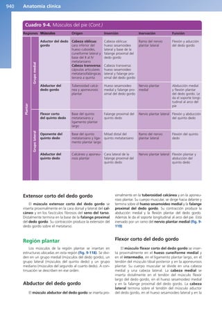 Anatomía Clínica Pró.pdf
