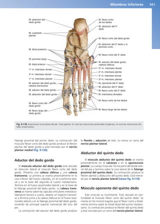 Anatomía Clínica Pró.pdf