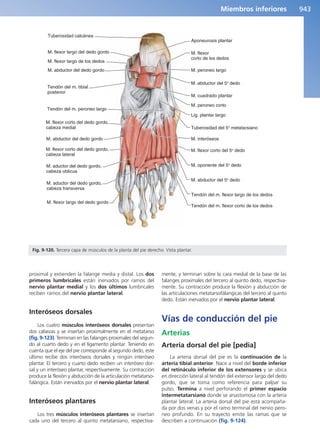 Anatomía Clínica Pró.pdf