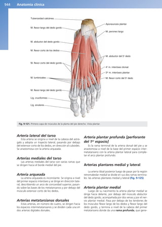 Anatomía Clínica Pró.pdf