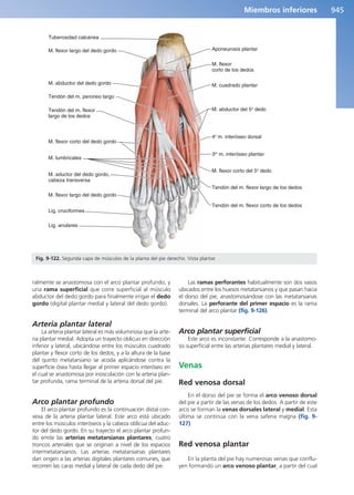 Anatomía Clínica Pró.pdf