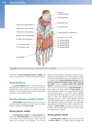 Anatomía Clínica Pró.pdf