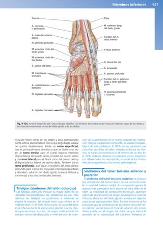Anatomía Clínica Pró.pdf
