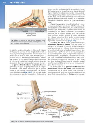 Anatomía Clínica Pró.pdf