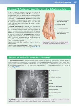 Anatomía Clínica Pró.pdf