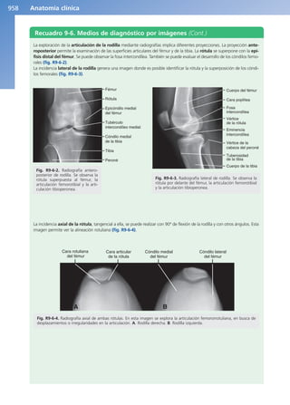 Anatomía Clínica Pró.pdf