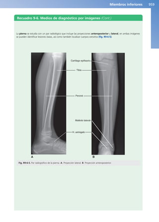 Anatomía Clínica Pró.pdf