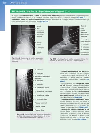 Anatomía Clínica Pró.pdf