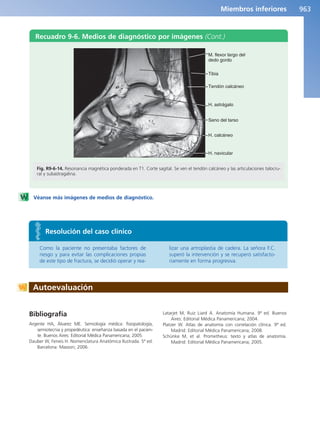 Anatomía Clínica Pró.pdf