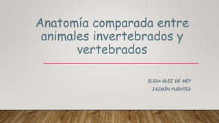 Anatomía comparada entre
animales invertebrados y
vertebrados
ELISA GLEZ DE MEY
JAZMÍN PUENTES
 