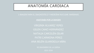 ANATOMÍA CARDIACA
1 IMAGEN PARA EL DIAGNÓSTICO Y MEDICINA NUCLEAR. MAÑANAS
ANATOMÍA POR LA IMAGEN
VIRGINIA ÁLVAREZ YEPES
GELEN CANO HERNÁNDEZ
NATALIA CARCELÉN GILAR
PATRI CARMONA PÉREZ
ANA BELÉN GUARDIOLA MIRA
IES INGENIERO DE LA CIERVA
2015-2016
 