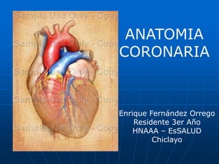 ANATOMIA CORONARIA Enrique Fernández Orrego Residente 3er Año HNAAA – EsSALUD Chiclayo 