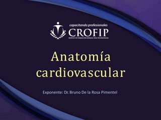Anatomía
cardiovascular
Exponente: Dr. Bruno De la Rosa Pimentel
 