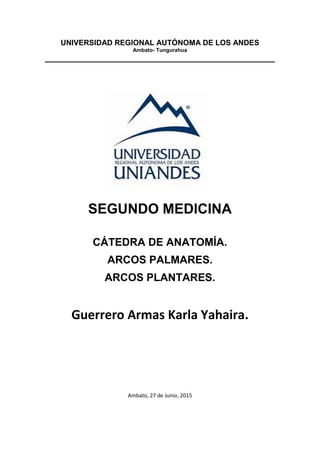 UNIVERSIDAD REGIONAL AUTÓNOMA DE LOS ANDES
Ambato- Tungurahua
SEGUNDO MEDICINA
CÁTEDRA DE ANATOMÍA.
ARCOS PALMARES.
ARCOS PLANTARES.
Guerrero Armas Karla Yahaira.
Ambato, 27 de Junio, 2015
 