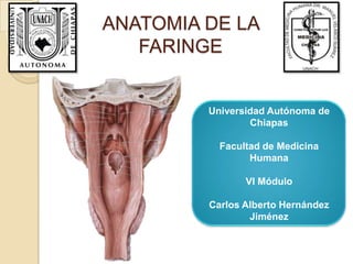 ANATOMIA DE LA
FARINGE
Universidad Autónoma de
Chiapas
Facultad de Medicina
Humana
VI Módulo
Carlos Alberto Hernández
Jimé...