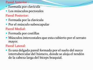 Pared Anterior :Formada por clavículaLos músculos pectorales  Pared Posterior:Formada por la clavículaPor el músculo subescapular Pared Medial:Formada por costillasMúsculos intercostales que esta cubierto por el serrato mayor.Pared Lateral:Es una delgada pared formada por el suelo del surco intertubercular del húmero, donde se aloja el tendón de la cabeza larga del bíceps braquial.