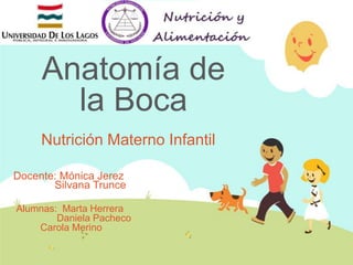 Anatomía de
la Boca
Nutrición Materno Infantil
Docente: Mónica Jerez
Silvana Trunce
Alumnas: Marta Herrera
Daniela Pacheco
Carola Merino

 
