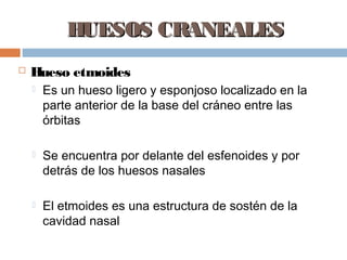 HUESOS CRANEALES
   Hueso etmoides
       Es un hueso ligero y esponjoso localizado en la
        parte anterior de la base del cráneo entre las
        órbitas

       Se encuentra por delante del esfenoides y por
        detrás de los huesos nasales

       El etmoides es una estructura de sostén de la
        cavidad nasal
 