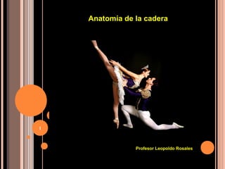 Anatomía de la cadera




1



                Profesor Leopoldo Rosales
 