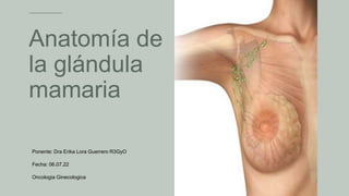Anatomía de
la glándula
mamaria
Ponente: Dra Erika Lora Guerrero R3GyO
Fecha: 06.07.22
Oncologia Ginecologica
 