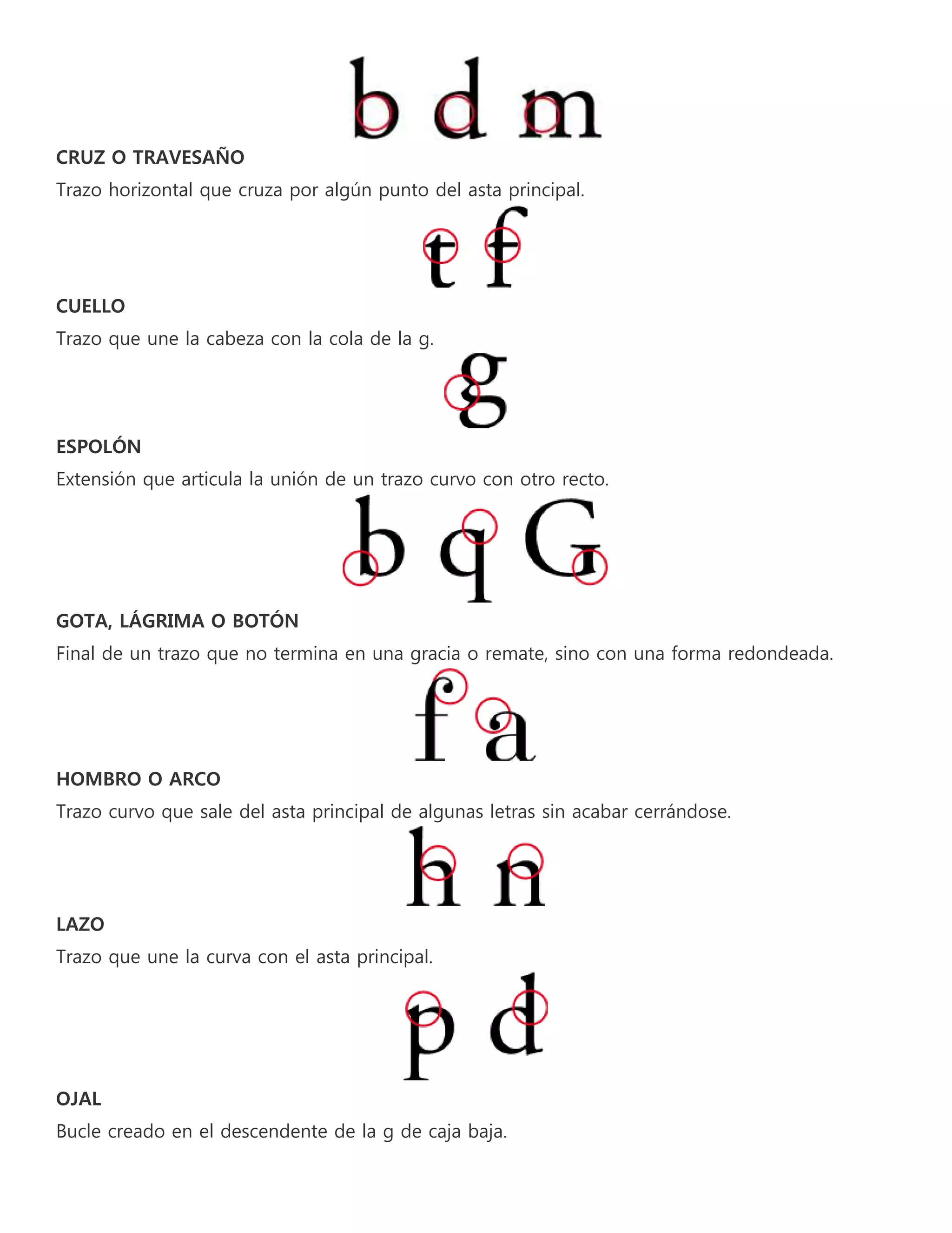 Anatomía de la letra | DOC