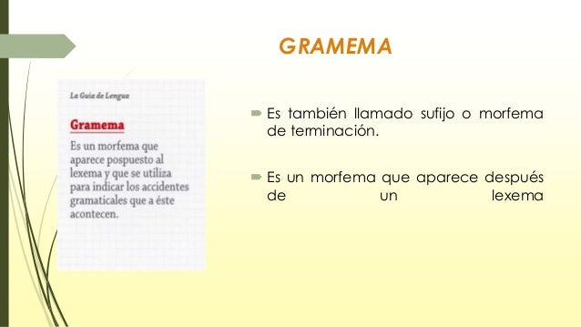 Anatomía de la palabra 1