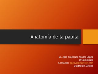 Anatomía de la papila
Dr. José Francisco Valdés López
Oftalmología
Contacto: pacovaldes@live.com
Ciudad de México
 