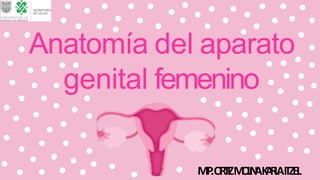 Anatomía del aparato
genital femenino
M
I
P
.O
R
T
I
ZM
O
L
I
N
AK
A
R
L
AITZEL
 