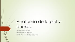 Anatomía de la piel y 
anexos 
Sergio Lopez Barrios 
Miriam García Melchor 
Xitlaly Vanessa Rodríguez Lucio 
 