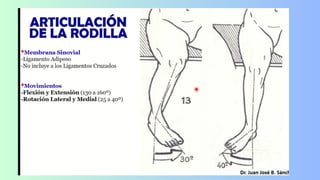 Rotula Matenatica Anatomía de la rotula_20231123_224421_0000.pdf